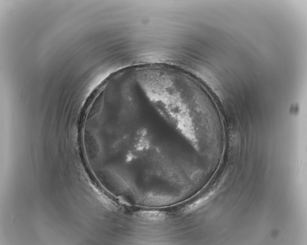 X0000094231023200711021158