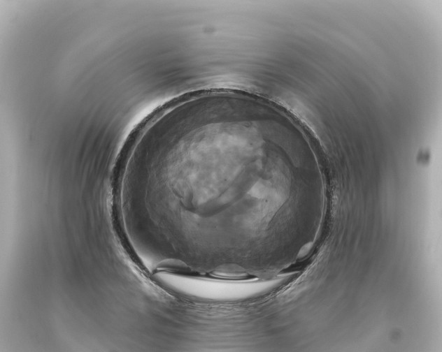 X0000094231024200711021158