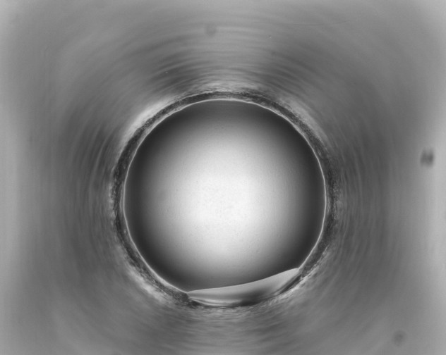 X0000094231026200711021158