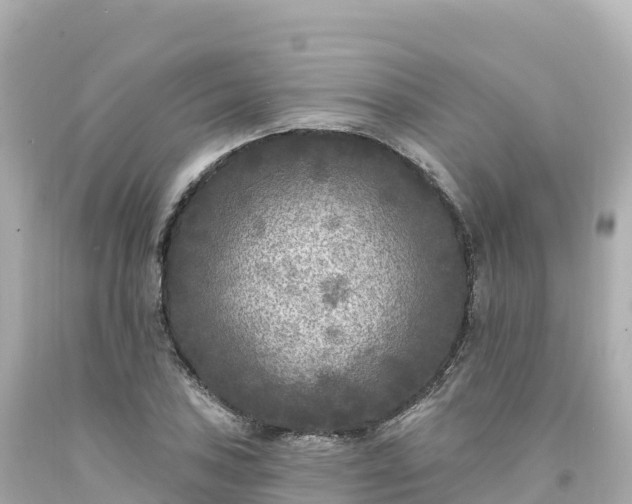 X0000094231027200711021158