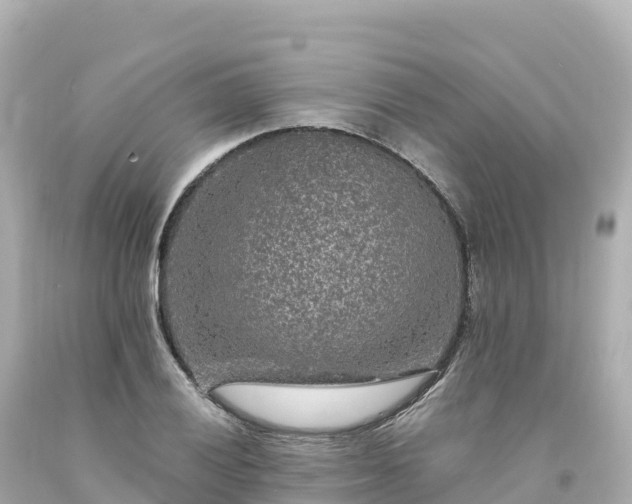 X0000094231028200711021158