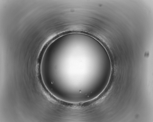 X0000094231029200711021158