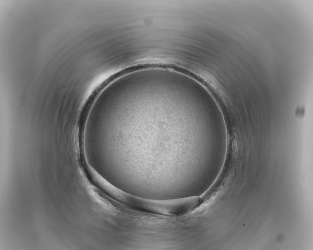 X0000094231030200711021158