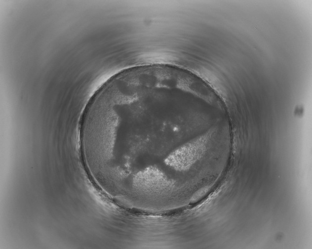 X0000094231031200711021158