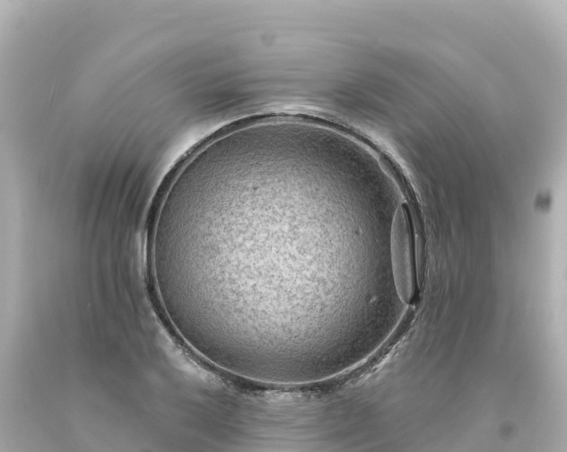 X0000094231032200711021158