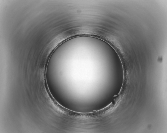 X0000094231033200711021158