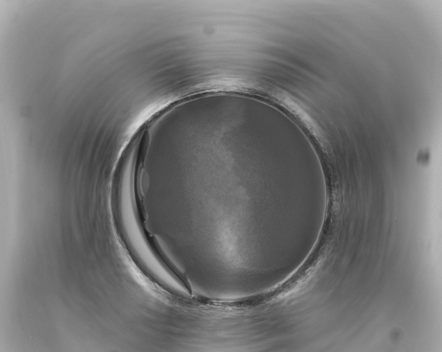 X0000094231034200711021158