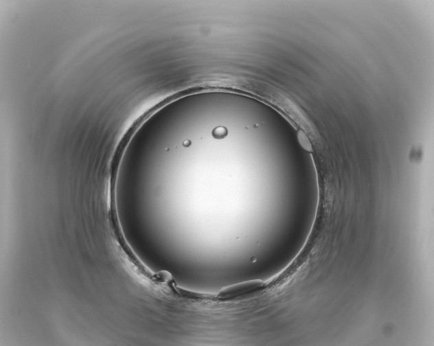 X0000094231036200711021158