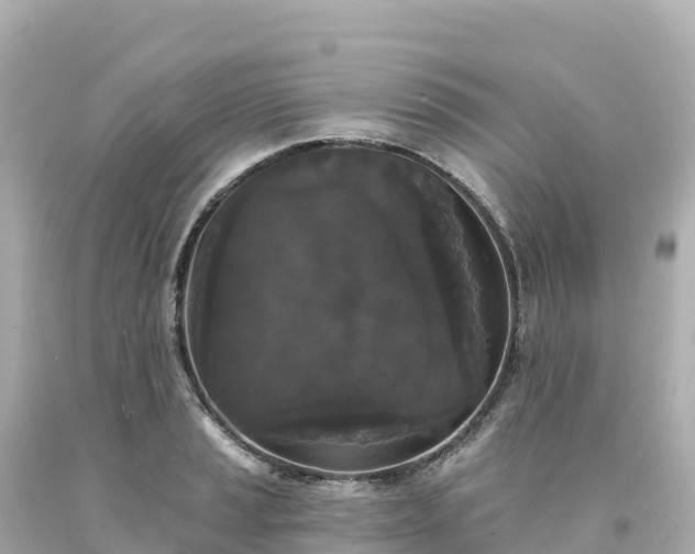 X0000094231037200711021158