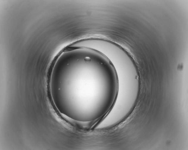 X0000094231038200711021158