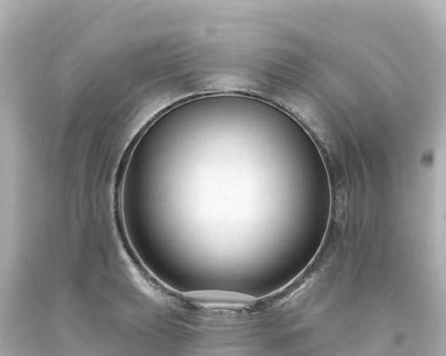 X0000094231039200711021158