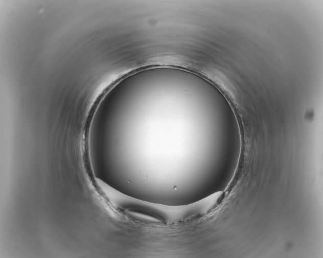 X0000094231040200711021158