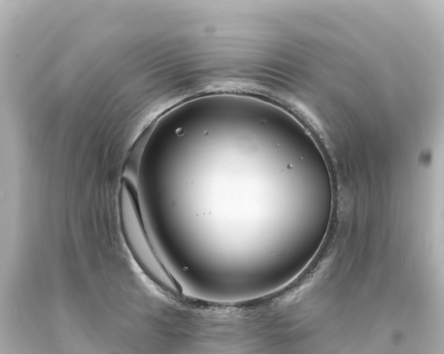 X0000094231041200711021158