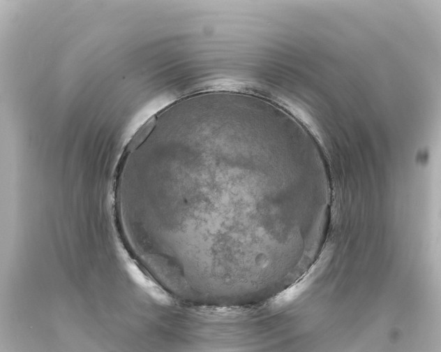 X0000094231042200711021158