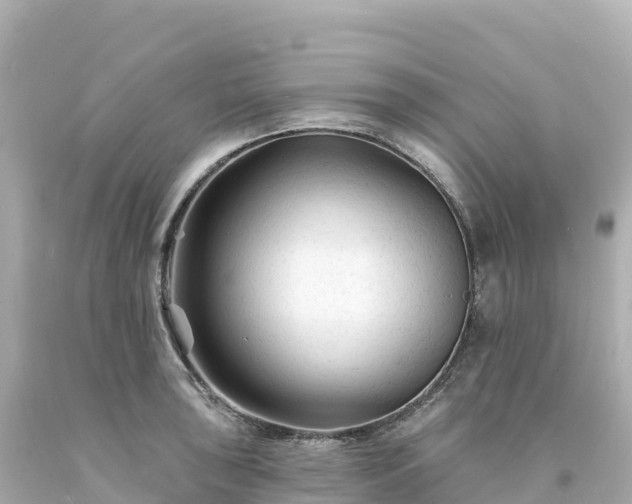 X0000094231043200711021158