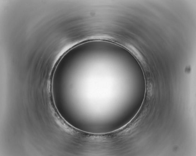 X0000094231044200711021158