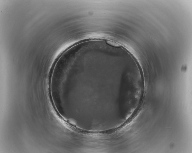 X0000094231045200711021158