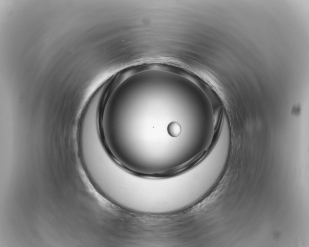 X0000094231046200711021158