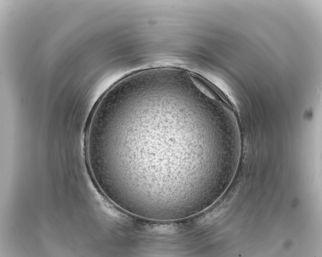 X0000094231047200711021158