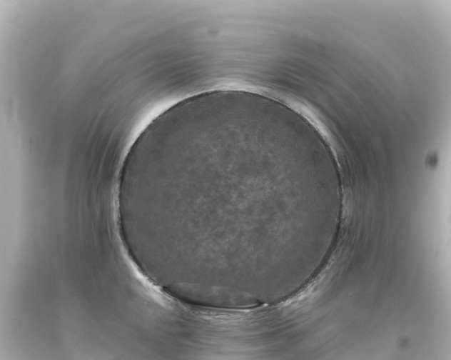 X0000094231048200711021158