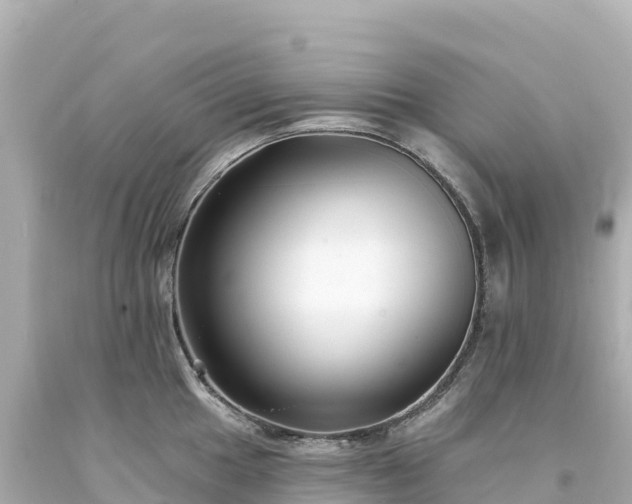 X0000094231049200711021158