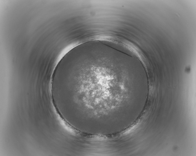 X0000094231050200711021158