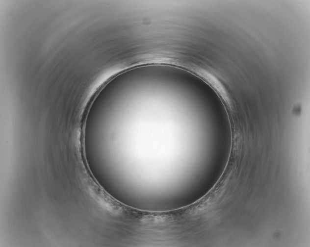 X0000094231051200711021158