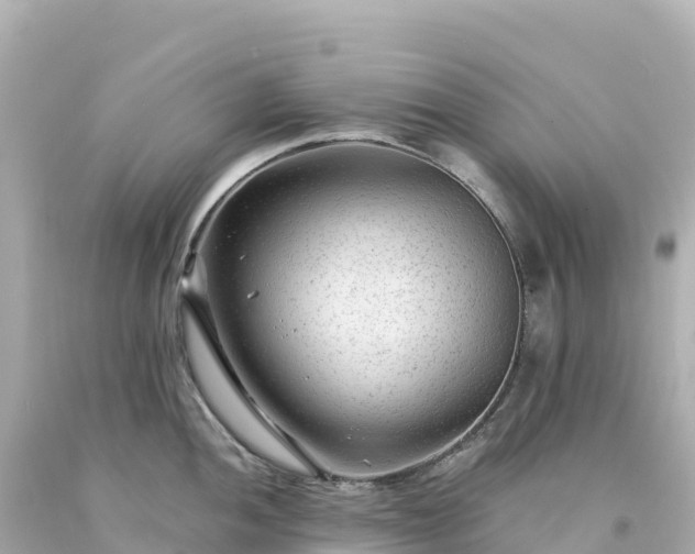 X0000094231052200711021158