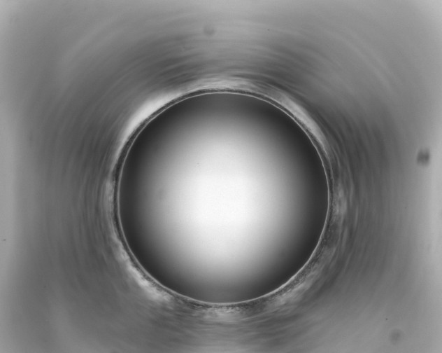 X0000094231053200711021158