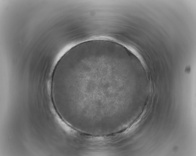 X0000094231054200711021158