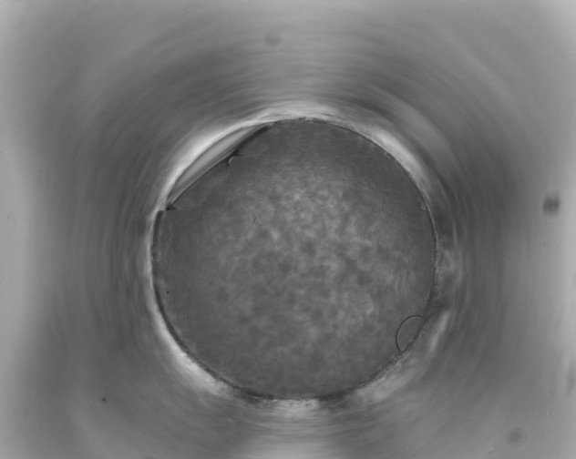 X0000094231055200711021158