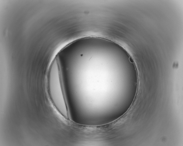 X0000094231056200711021158