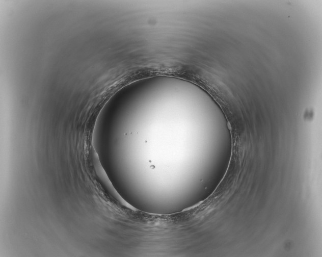 X0000094231058200711021158