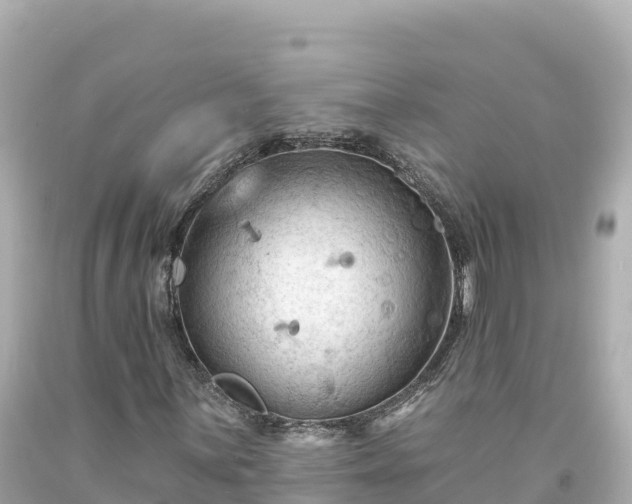 X0000094231059200711021158