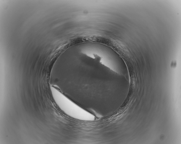 X0000094231060200711021158