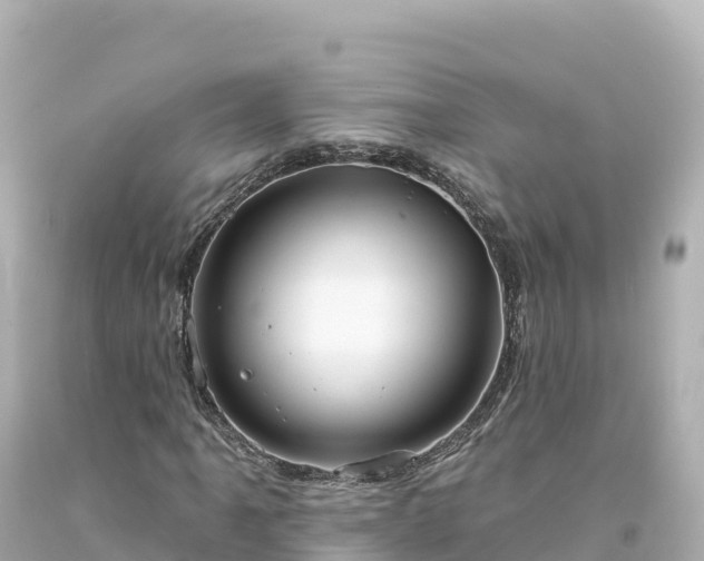 X0000094231061200711021158