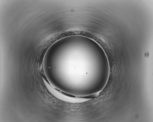 X0000094231062200711021158