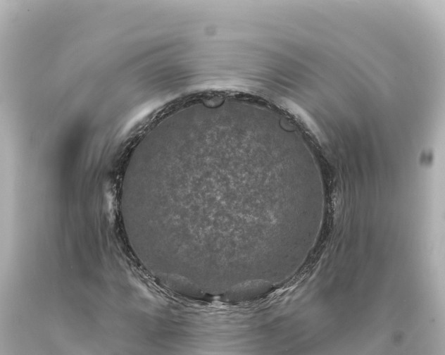 X0000094231064200711021157