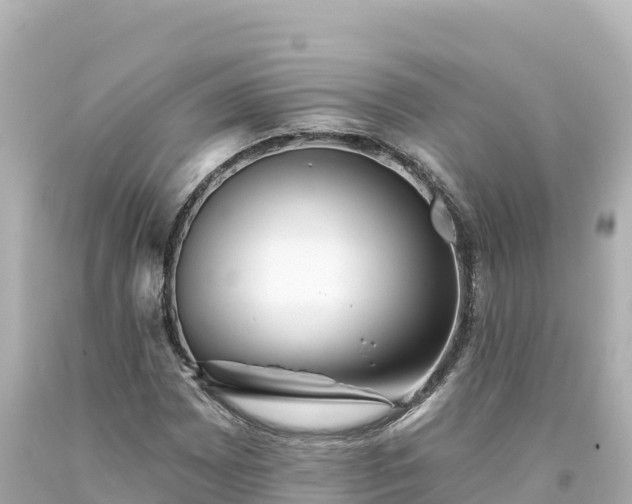 X0000094231065200711021157