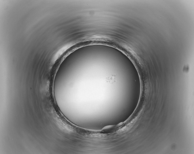 X0000094231066200711021157