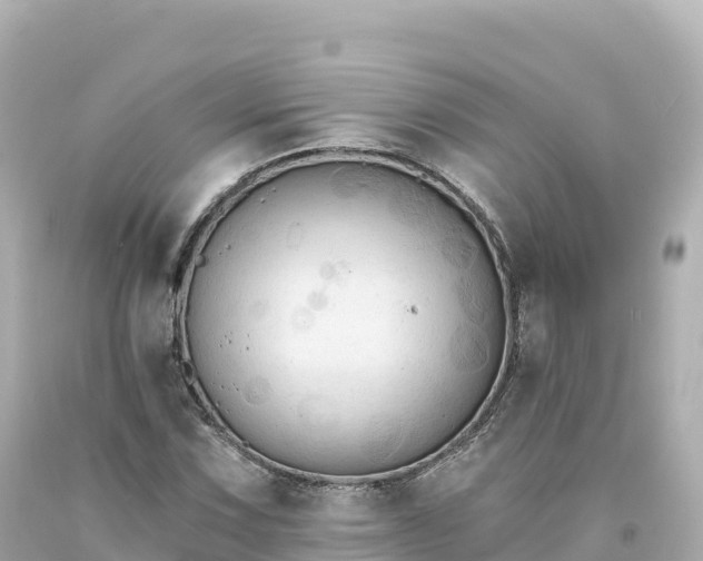 X0000094231067200711021157