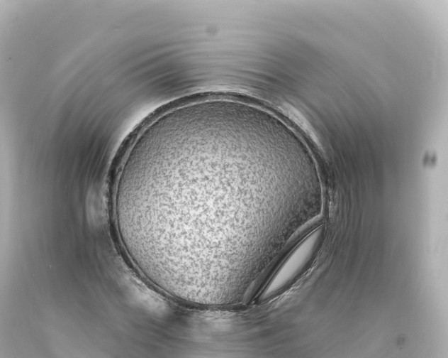 X0000094231068200711021157