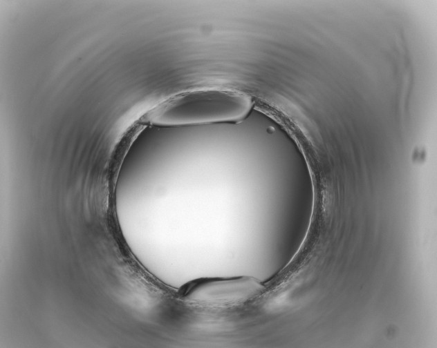 X0000094231069200711021157