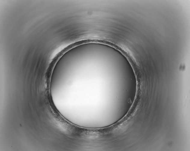 X0000094231070200711021157