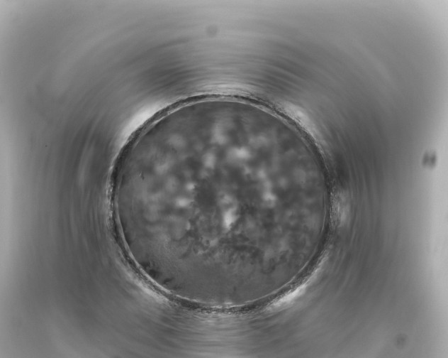 X0000094231071200711021157