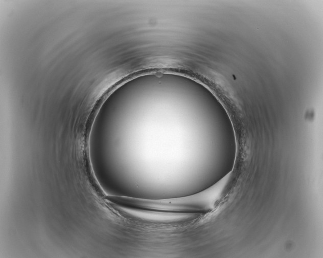 X0000094231073200711021157