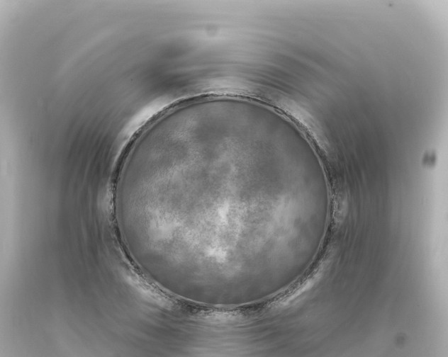 X0000094231074200711021157