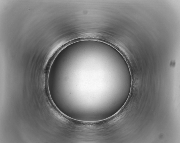 X0000094231075200711021157