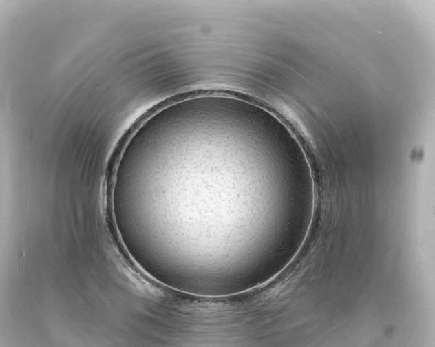 X0000094231076200711021157