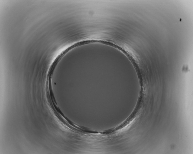 X0000094231077200711021157